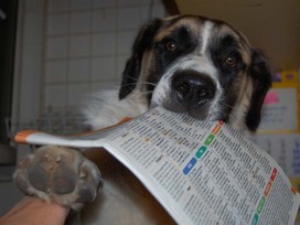 Ezt kerested anya? Ezt kerested anya?