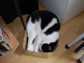 Keleti kényelem:) Keleti kényelem:)