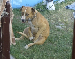 18-as karika :-) 18-as karika :-)