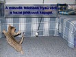 Nagyít! Labdába se rúghatsz