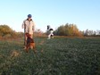 Nagyít! Itt a vizsla feszül ... én már nem :D