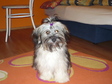 Nagyít! ♥Fifike pózol♥