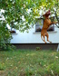 Nagyít! Jump!