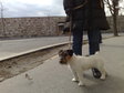 Nagyít! Dinamizmus