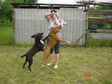 Nagyít! Ugrás!