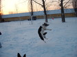 Nagyít! Balerina!
