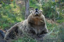 A helikopter nekik sem volt a kedvencük...