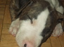ZEUSZ 6 hetes