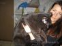 Black Britt Bandi Black Britt Bandi