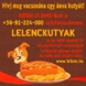 Hívj meg vacsorára egy árva kutyát!