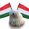 Állati nagy buli Törökbálinton!