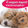 Karácsonyi ajándékok; amennyit neked megér!
