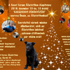 Karácsonyi Ünnep az Ócsai Állatotthonban ! Karácsonyi Ünnep az Ócsai Állatotthonban !