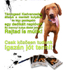 Sztárok segítettek a Futrinka Egyesület védenceinek! Sztárok segítettek a Futrinka Egyesület védenceinek!