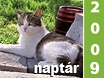 Állatvédelmi naptár 2009 Állatvédelmi naptár 2009