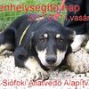 Segítőnap a Siófoki Állatvédő Alapítvány menhelyén! Segítőnap a Siófoki Állatvédő Alapítvány menhelyén!