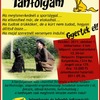 Dog-Dancing Tanfolyam Dog-Dancing Tanfolyam