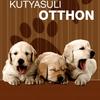 Ajándék DVD kutyásoknak: tanítsd meg kutyádat az alapokra! Ajándék DVD kutyásoknak: tanítsd meg kutyádat az alapokra!