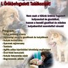 1. Örökbefogadott találkozó a Siófoki Állatmenhely szervezésében 1. Örökbefogadott találkozó a Siófoki Állatmenhely szervezésében