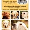 Adód 1 %-val támogasd a Retriever Rescue Fajtamentő Egyesületet Adód 1 %-val támogasd a Retriever Rescue Fajtamentő Egyesületet