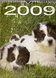 Adj esélyt: Naptár 2009-re! Adj esélyt: Naptár 2009-re!