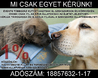 Önnek csak 1 %