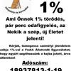1% a Várpalotán és környékén bajbajutott állatokért!